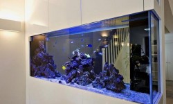 GG - Commercial Aquarium 43