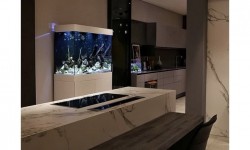 GG - Residential Aquarium 44