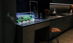 GG - Residential Aquarium 40