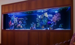 GG - Commercial Aquarium  10