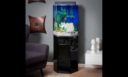 GG - Residential Aquarium  25