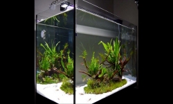 GG - Commercial Aquarium  26