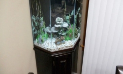 GG - Residential Aquarium  27