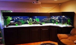 GG - Residential Aquarium  38