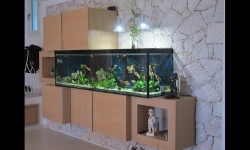 GG - Residential Aquarium  35