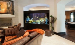 GG - Residential Aquarium  36