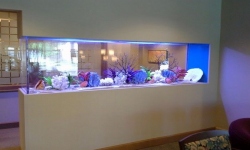 GG - Commercial Aquarium  39