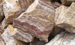 Brown Petrified wood stone